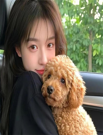 【幕后故事】《回家第2季》的IP的版权开发与商业价值 了解优秀作品的创作秘密